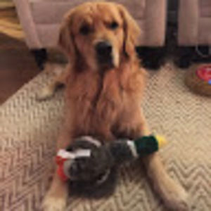 Meet your Posher, Grace